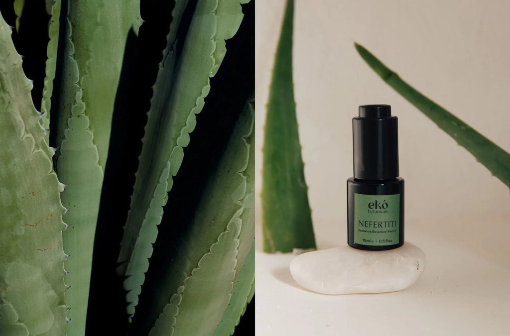 Aloe vera serum - EKÓ BOTANICALS