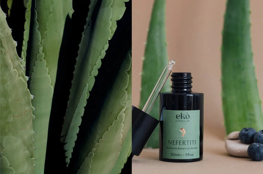 Best Hydrating Face Serum - EKÓ BOTANICALS