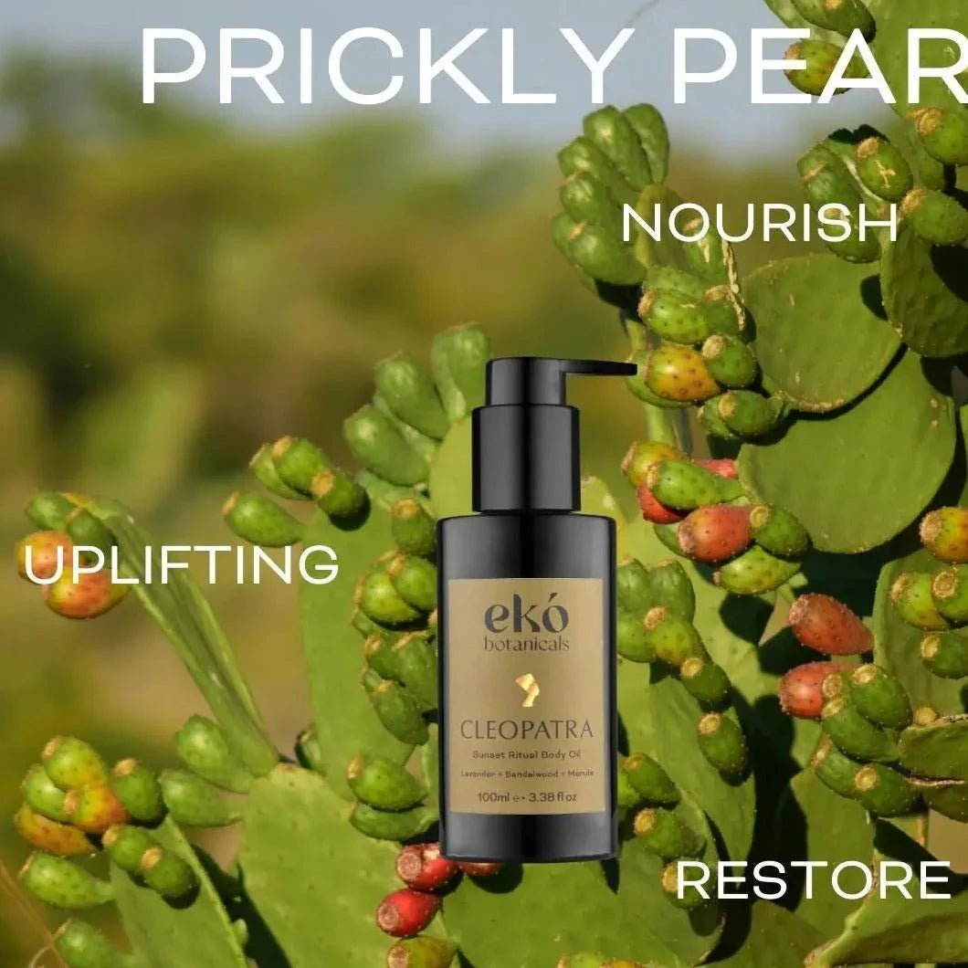 Sunrise Ritual Body Oil - Deeply Moisturing - EKÓ BOTANICALS